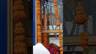 Gurudwara Fatehgarh Sahib live1stparkashpurabofshrigurugranthsahibji [upl. by Eynobe]