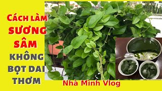 Cách làm Sương Sâm không bọt dai thơm đông cứng  Nhân giống Sương Sâm  Nha Minh Vlog [upl. by Perceval]