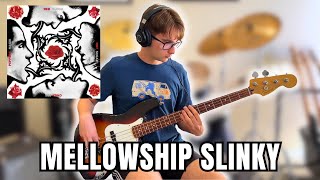 Mellowship Slinky in B major RHCP  Bass Cover [upl. by Ahsinotna286]