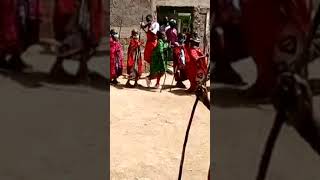 Maasai traditional dance [upl. by Beach]