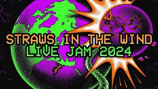 STRAWS IN THE WIND  DAILY BLUES JAM OFFENBACH 2024 KING GIZZARD amp THE LIZARD WIZARD [upl. by Onibas347]