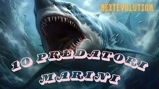 Predatori Marini Più Letali e Pericolosi [upl. by Giliane918]