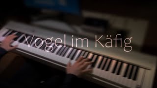 Vogel im Käfig  AOT  Best Part Piano [upl. by Nahraf355]