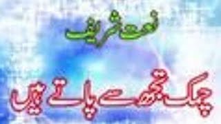 Chamak Tujh Se Paate Hain  Muhammad Daniyal Qadri  Rabi ul Awwal  Naat [upl. by Modestine]