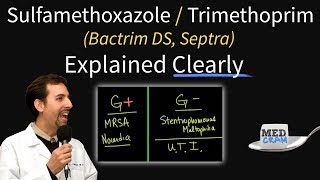 SulfamethoxazoleTrimethoprim Bactrim Septra Uses Coverage Dosage UTI Treatment Etc [upl. by Libys]