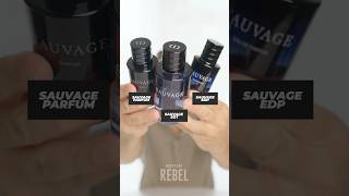 Best Dior Sauvage For Everyday Wear Sauvage edt vs Edp vs Parfum For Everyday Use [upl. by Roch]