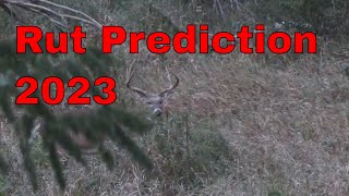 2023 Rut Prediction [upl. by Grishilde]