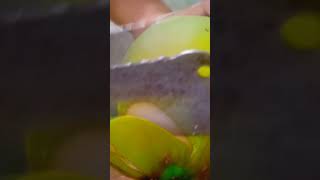 coconut peeling satisfying [upl. by Sumetra]