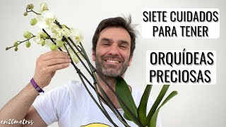 7 CUIDADOS MUY FÁCILES para tener ORQUÍDEAS INCREÍBLES más floración y duración  en20metros [upl. by Mochun413]