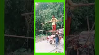 Very🫶 nice video hai ❤️ Gondwana 👍me hua hai ji 😍views please subscribe kijiye bhai sab 😱🥀funny 🥀👌 [upl. by Darrej872]