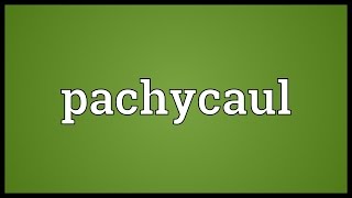 Pachycaul Meaning [upl. by Valenta]