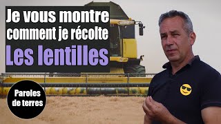 Comment les lentilles vertes sontelles récoltées  Paroles de Terres  Saison 3 18 [upl. by Chor]