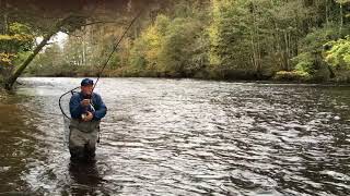 River Ure Salmon Fly Fishing  Swinton Estate [upl. by Leinehtan]