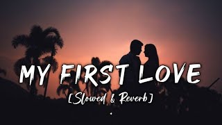 My First Love Slowed amp Reverb Kritiman Mishra  WEROMIX MUSIC LoFi73 [upl. by Inan]