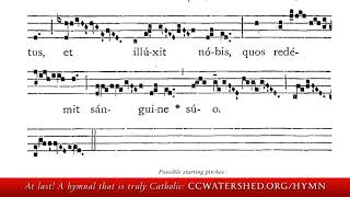 Alleluia — Fifth Sunday after Easter • “Surrexit Christus” 1962 Missal [upl. by Hulton903]