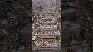 🇨🇭1000erStägli nahe OltenAarburg im Nebel mystische Herbststimmung 1150 Stufen auf den Born [upl. by Eilahtan]