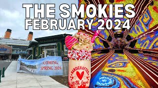 Whats New In Gatlinburg amp Pigeon Forge Tennessee  February 2024 Tour [upl. by Nelyag]