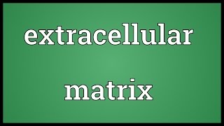 Extracellular matrix Meaning [upl. by Yeliah159]