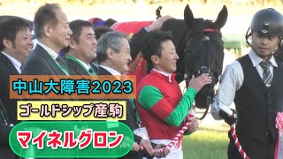 【ゴールドシップ産駒】祝🎉マイネルグロン勝利‼️なでなでされたり耳ぴこぴこされたり微笑ましい口取り☺️【中山大障害2023】 [upl. by Cramer]