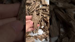 Wild Vietnam Oud chips Oud wood Agarwood chips from Nha Trang Kien Rung Grade A Natural Incen [upl. by Chyou153]