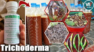 How to Use Trichoderma That You Never Know [upl. by Corso]