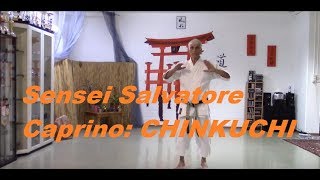 Sensei Caprino explains Chinkuchi [upl. by Demha]