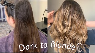 Hand Painted Balayage Ombre Technique  Dark to Blonde Tutorial [upl. by Zebe439]