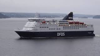 DFDS Fährschiff CROWN SEAWAYS am 280923 im Oslofjord [upl. by Ennahs206]