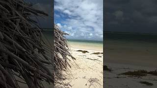 Am Strand vom  Catalonia Bavaro  Beach Cabeza de Toro Dominican Republic [upl. by Vanthe]