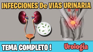 INFECCIONES DE VIAS URINARIAS Sintomas Diagnostico TRATAMIENTO IVU  ITU [upl. by Bum]