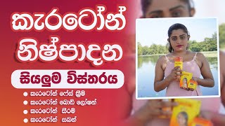 Carotone Cream Pack Full Review Sinhala  Cream Body Loation Soap Serum Brigtning Oil  කැරටෝන් [upl. by Enairda]