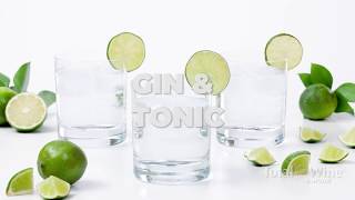 How to Make a Gin and Tonic Cocktail [upl. by Nylasor142]