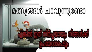 Fish death in aquariumReasonremedyമത്സ്യങ്ങൾ ചത്തുപോവുന്നുണ്ടോsolution un malayalam [upl. by Chretien]