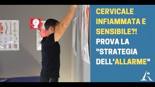 CERVICALE sensibile e quotinfiammataquot Prova la quotSTRATEGIA DELL ALLARMEquot [upl. by Nyahs206]