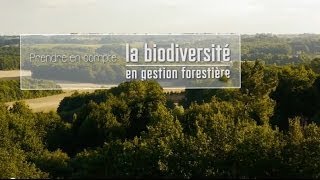 Prendre en compte la biodiversité en gestion forestière [upl. by Isawk]