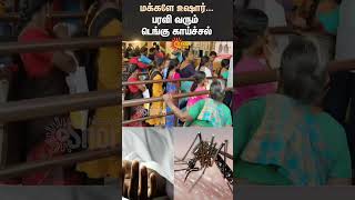 People Beware  Dengue fever is spreading  Cuddalore  Chidambaram  Government Hospital  Sun News [upl. by Llig]