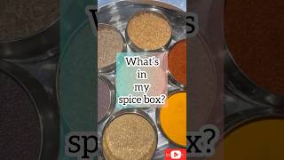 Spice box tour youtubeshorts shorts spicebox spices indianspice viralvideo song gunjan [upl. by Ybhsa329]