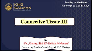 Connective tissue lecture 3 types of CT proper [upl. by Rangel]