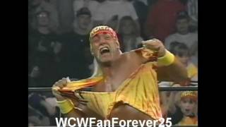 The Wrestling AlbumWWF AllStars  Hulk Hogans Theme [upl. by Selie]