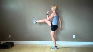 Front Kicks CardioPlyometric Exercise [upl. by Desai]