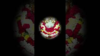 Shree Sharanabasaveshwar 🙏🏵Kalaburagi sharana God song Bhaktisongs Mondaywhatsappstatusvideo [upl. by Adym]