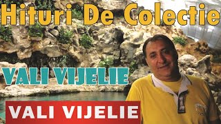 Hituri de colectie cu VALI VIJELIE Colaj manele [upl. by Alleyne]