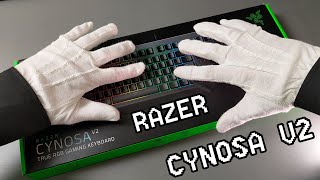 Razer Cynosa V2 Sound Test and Unboxing  ASMR [upl. by Eed]