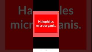 Halophiles microorganism [upl. by Dorraj]