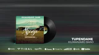 Kilimanjaro Band  Tupendane Official Audio [upl. by Trellas]