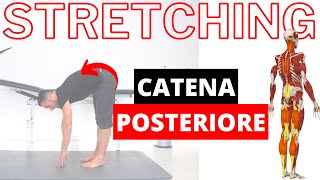 Ginnastica posturale esercizi di STRETCHING della MUSCOLATURA POSTERIORE [upl. by Mcarthur]