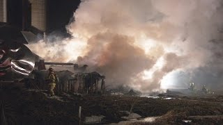 Barn fire breaks out at WNY dairy farm [upl. by Eimas]