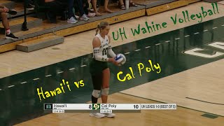 Hawaii Wahine Volleyball Hawaii vs Cal Poly Oct 14 2023 [upl. by Dorkus]