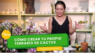 Cómo crear tu propio terrario de cactus  TvAgro por Juan Gonzalo Angel Restrepo [upl. by Ellinger]