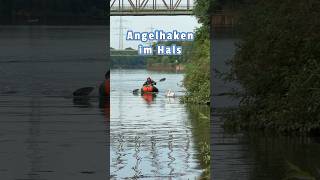 Angelhaken im Hals tierrettung animalrescue tiernotruf schwan [upl. by Atiral]